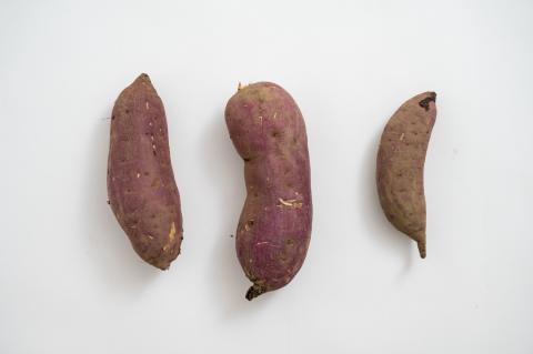 江戸時代から続く北本のサツマイモ 5kg【さつまいも さつま芋 紅はるか 甘い スイーツ 農家 農福連携】