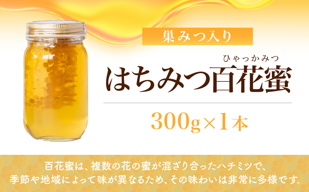 巣みつはちみつ 百花はちみつ セット 300g×2瓶