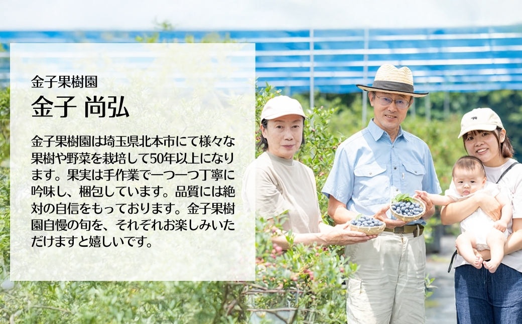 ブルーベリー 冷凍 2袋 (500g✕2) 計 1kg