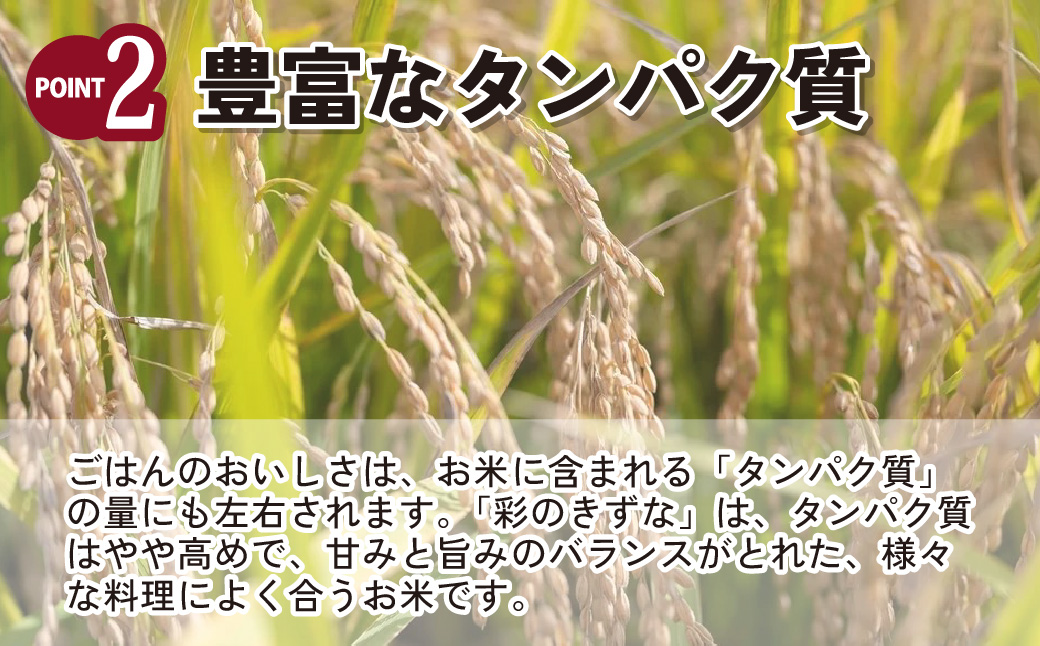 米 白米 【令和7年産米】埼玉県ブランド米 10kg 彩のきずな (5kg×2袋)