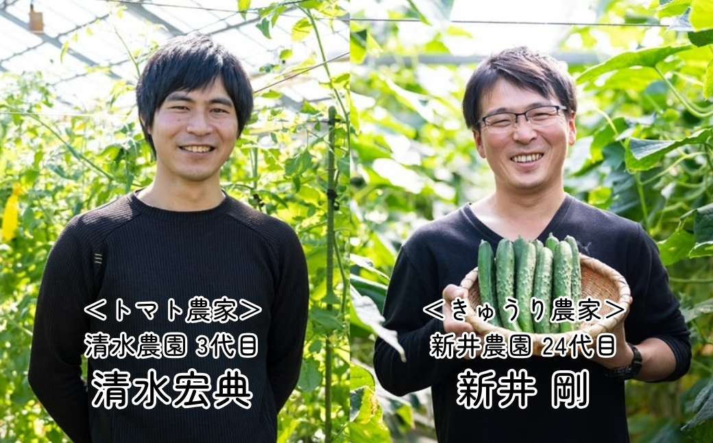 トマト きゅうりセット 計約4kg