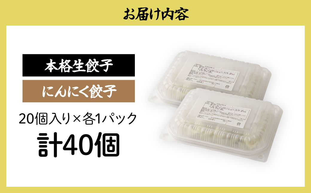 にんにく餃子/本格生餃子セット 40個（各20個）） － にんにく餃子 20個 生餃子 20個