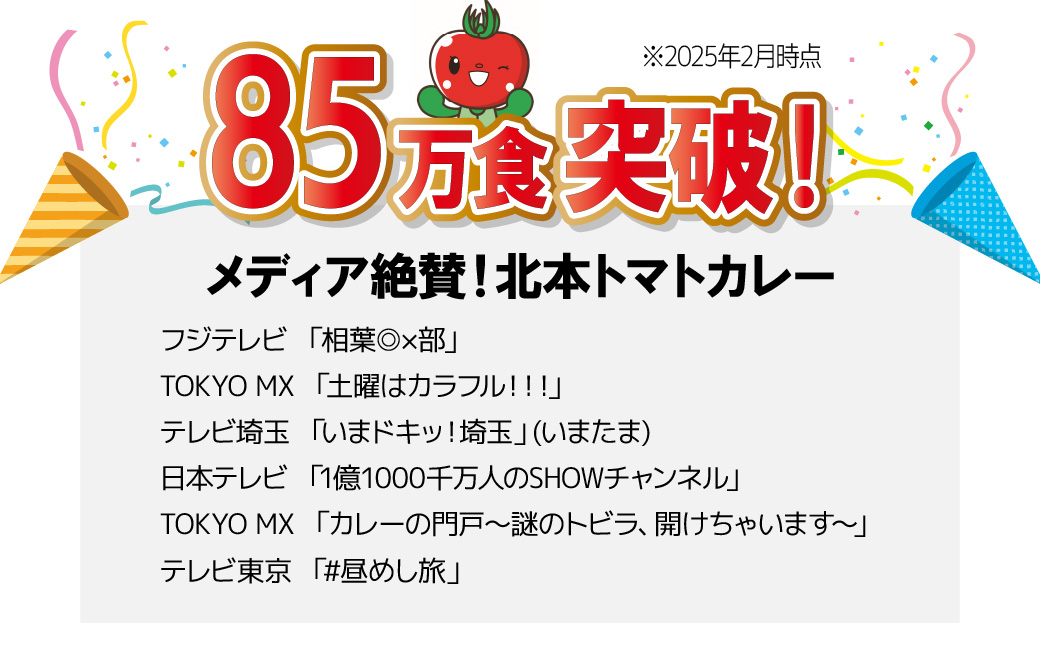 北本トマトカレー 200g×2個 200g×2個