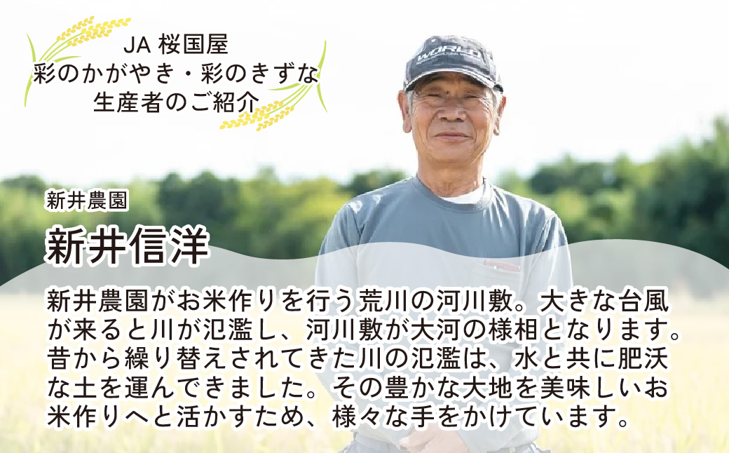 米 白米【令和7年産米】食べ比べ 計10kg (5kg×2袋) 埼玉県ブランド米 彩のかがやき 彩のきずな