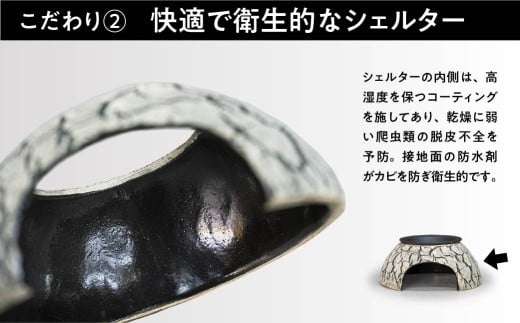 トカゲの家 ウェットシェルター 赤 爬虫類 | ペット トカゲ とかげ ペット用品 爬虫類用 シェルター 隠れ家 飼育用品 家 カビ抑制 観察 陶器 おしゃれ おうち デザイン 飼育 黒地 レオパードゲッコー レオパ フトアゴ イモリ カエル ヘビ 脱皮 作家 アーティスト ギフト 作品 陶芸家 手仕事 インテリア オブジェ 自然 ナチュラル レッド red セキグチタカヒト 埼玉県 北本市 Fireball(赤)