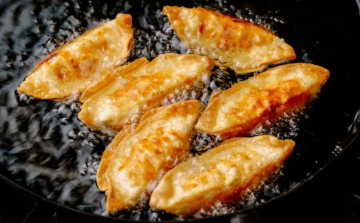 揚げ 餃子 北本トマトカレー セット 餃子40個 +カレー2人前 | ギョウザ 冷凍餃子 ギョーザ 冷凍ギョウザ 冷凍ぎょうざ ぎょうざ ぎょーざ B級 ご当地 グルメ王 入賞 トマト トマトカレー カレー ご当地カレー 冷凍カレー 手軽 食べ比べ 大家族 美味しい おやつ おつまみ 国産野菜 お手軽 大容量 中華 簡単調理 惣菜 北本フーズ 埼玉県 北本市 餃子40個+カレー2袋