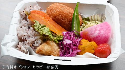 きたもと森林セラピー 体験コース（1～3名）