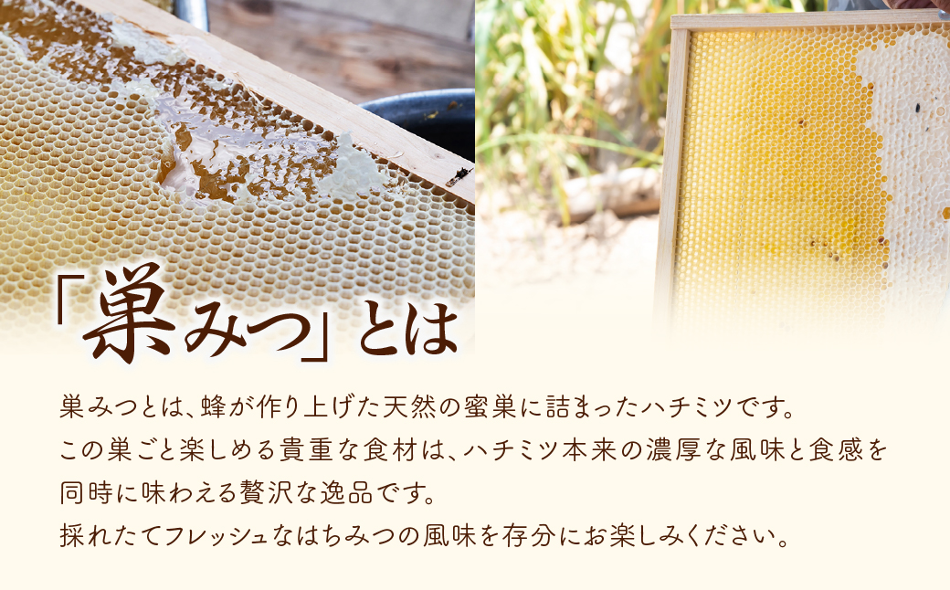 巣みつはちみつ 百花はちみつ セット 300g×2瓶