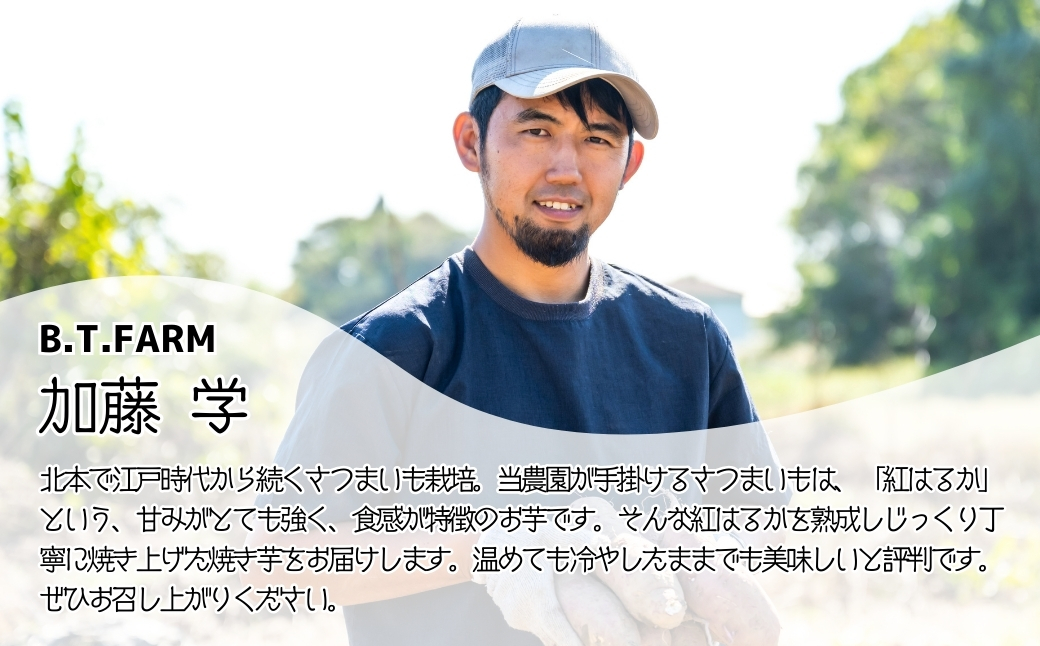  蜜 焼き芋 紅はるか 蜜たっぷり 冷凍 5パック 約2.5kg － <  5パック 2.5kg >