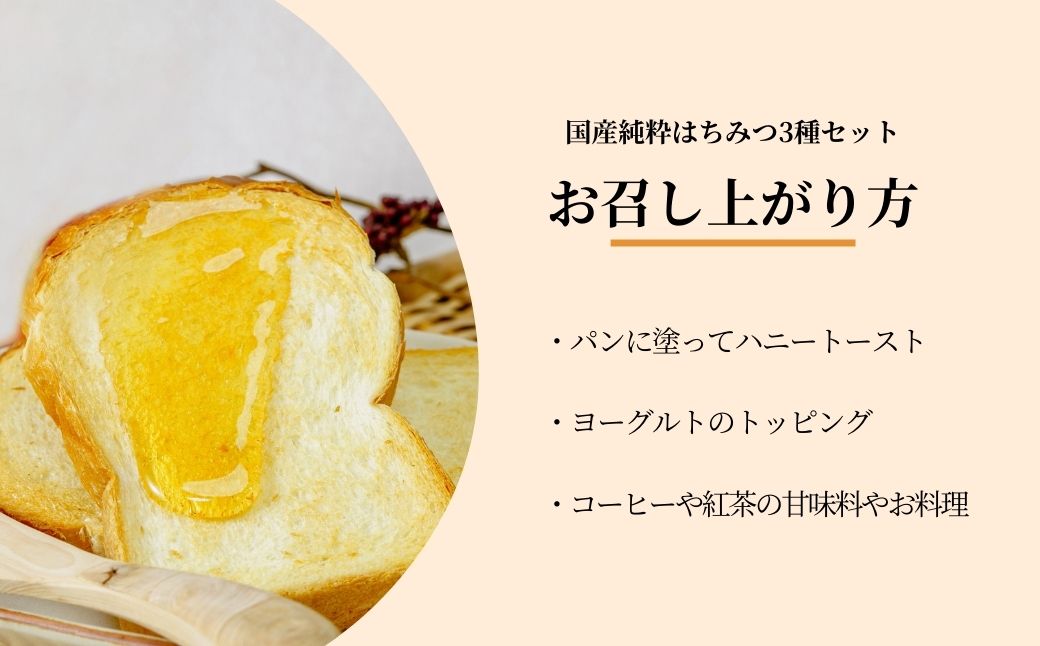 ＜国産＞ 純粋はちみつ 3種セット アカシア / みかん / 百花 110g×3個