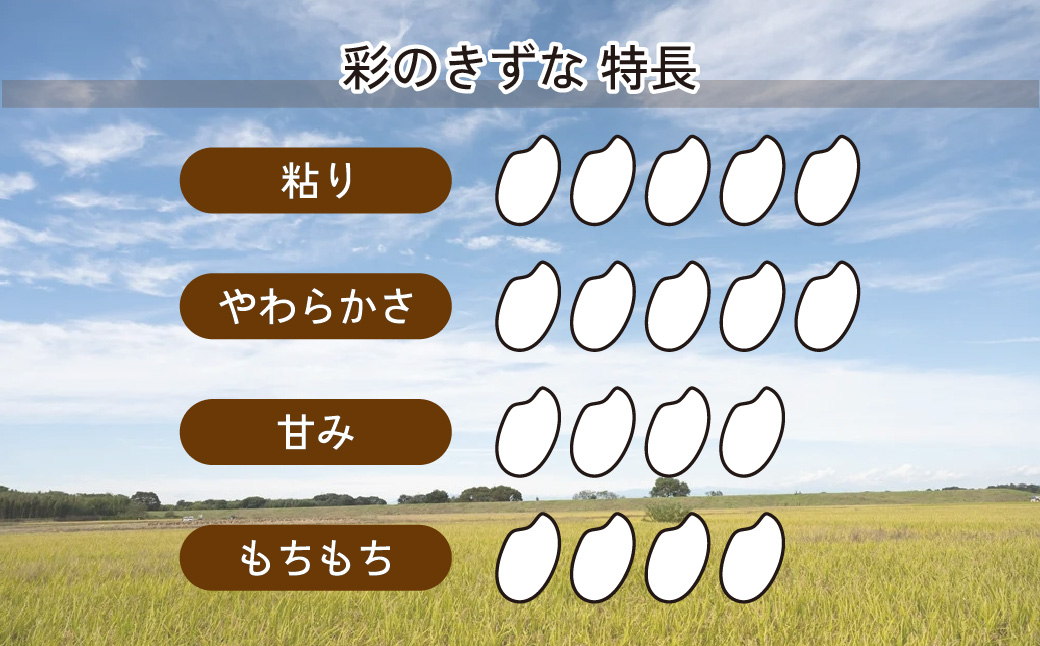 米 白米【令和7年産米】埼玉県ブランド米 5kg 彩のきずな