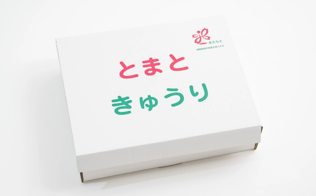 トマト きゅうりセット 計約2kg