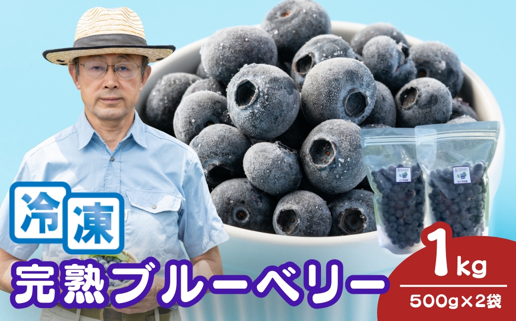 ブルーベリー 冷凍 2袋 (500g✕2) 計 1kg