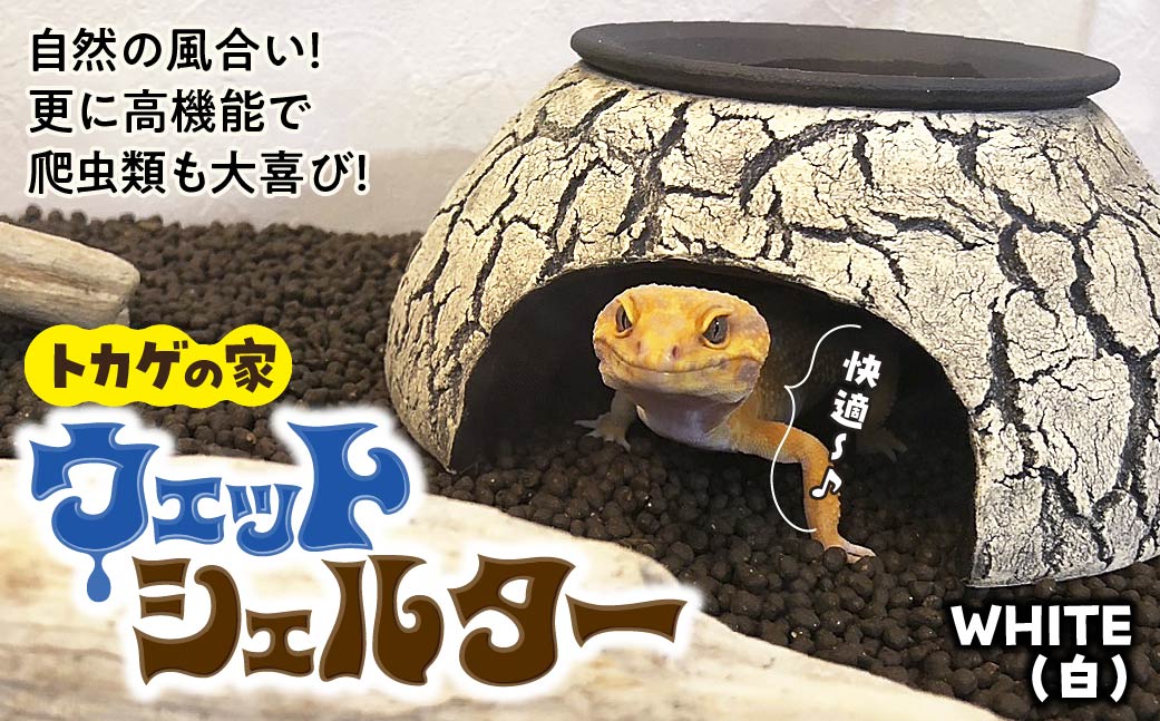ウェットシェルター 爬虫類用 | トカゲ レオパードゲッコー レオパ フトアゴ イモリ カエル ヘビ ペット 爬虫類用 シェルター 保湿 陶器 家 カビ抑制 隠れ家 おしゃれ おうち デザイン とかげの家 飼育 作家 アーティスト 飼育用品 ギフト 作品 手づくり 陶芸家 とかげ 脱皮 インテリア オブジェ 観察 自然 飼育品 ナチュラル セキグチ タカヒト 埼玉県 北本市 White(白地に黒ヒビ)