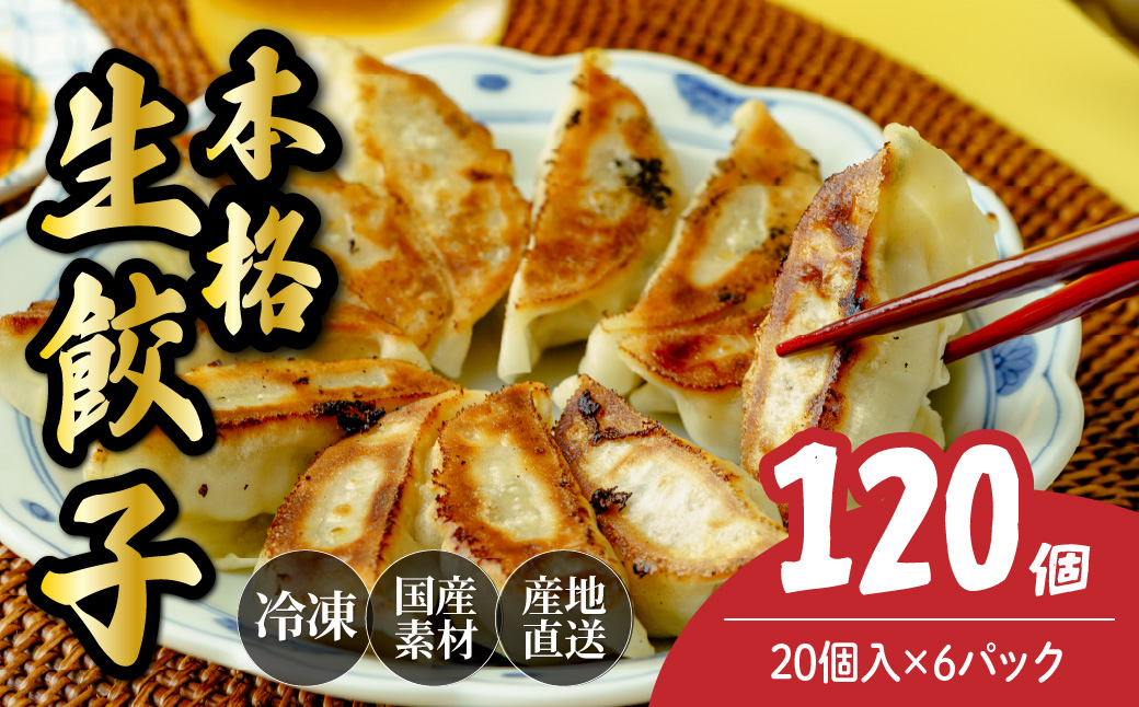 本格生餃子　120個（20個×6パック） － 本格生餃子 120個