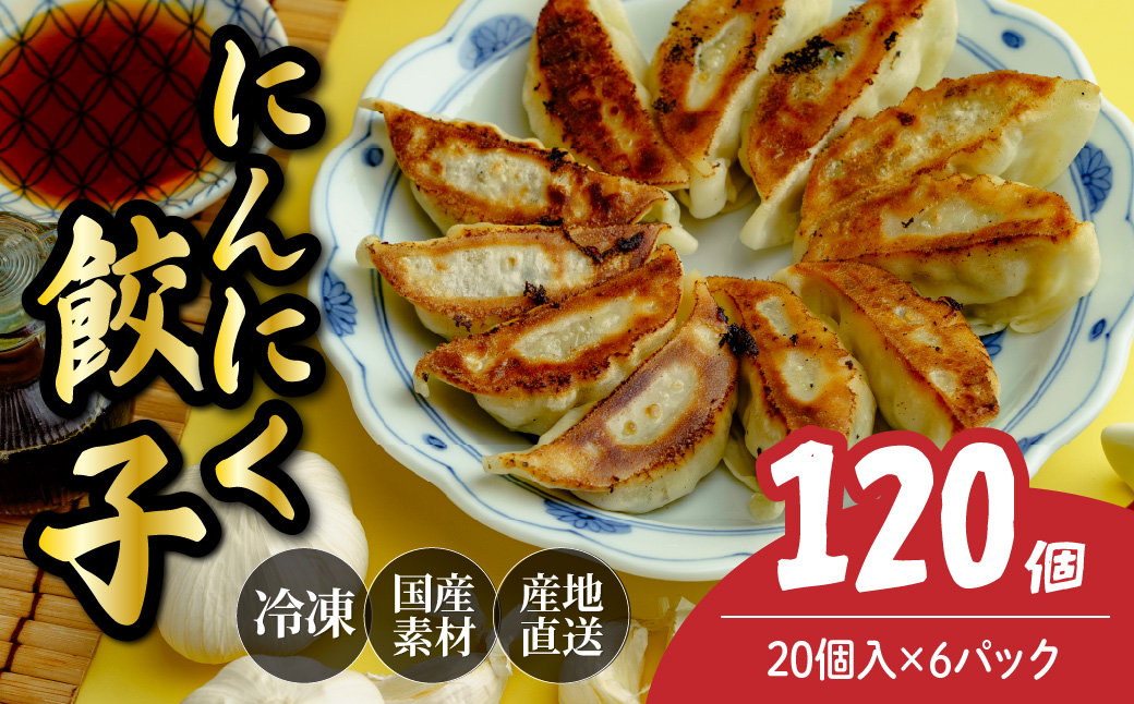 にんにく餃子 120個（20個×6パック） － にんにく餃子 120個