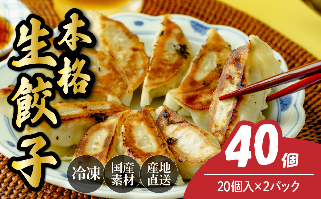 本格生餃子 40個（20個×2パック） － 本格生餃子 40個