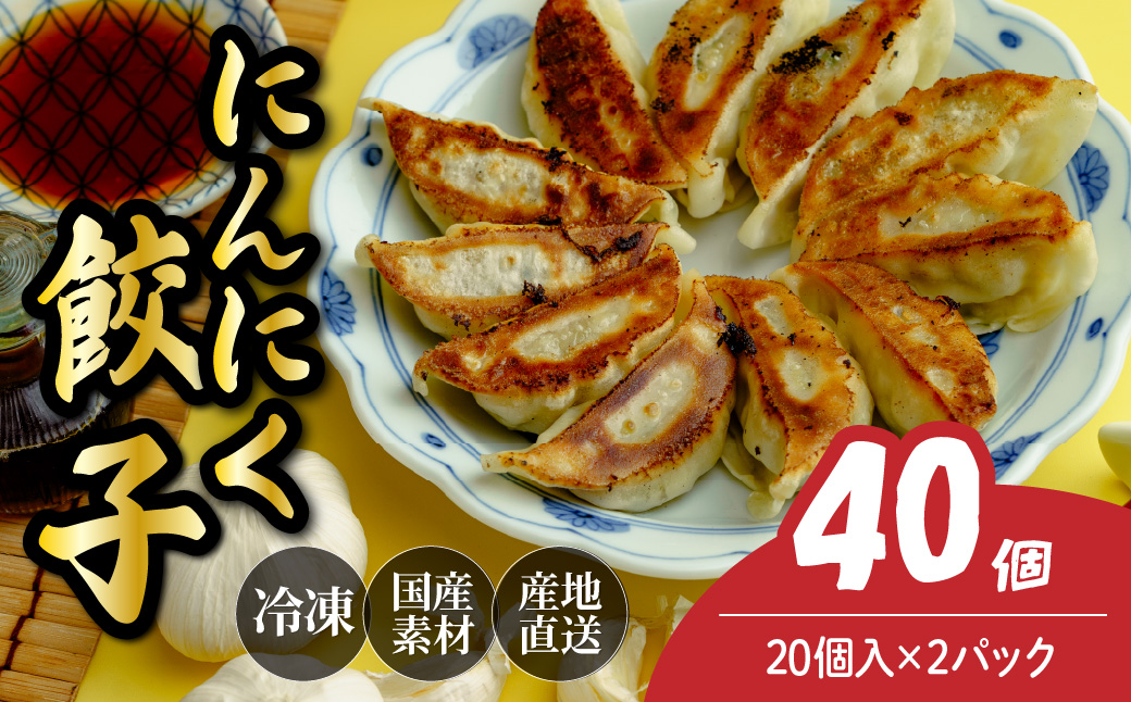  にんにく餃子 40個（20個×2パック） － にんにく餃子 40個