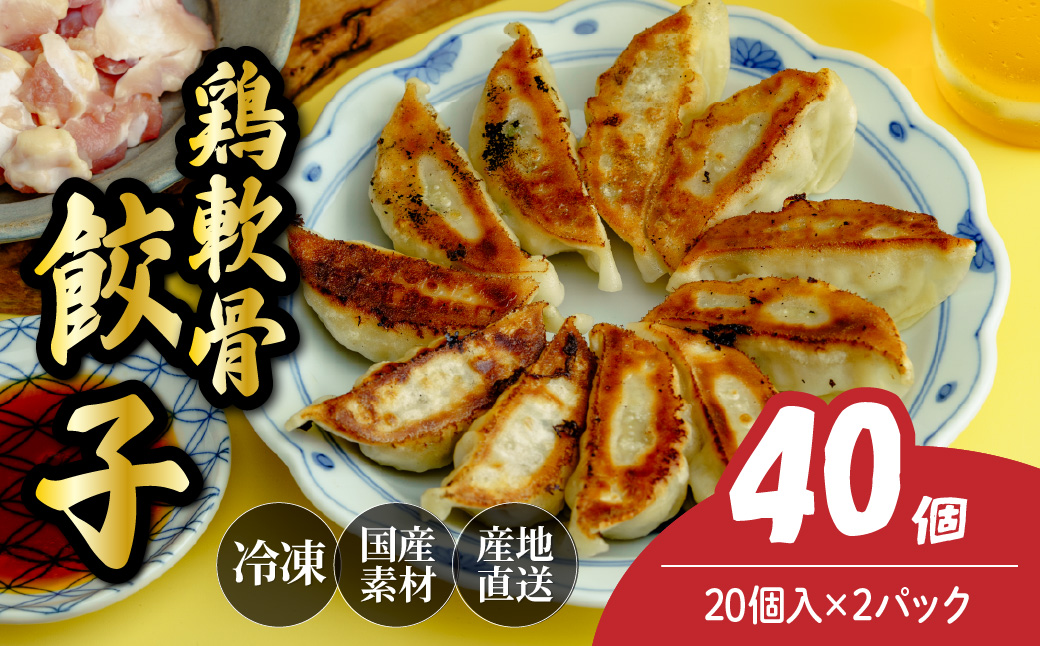  鶏軟骨餃子 40個（20個×2パック） － 鶏軟骨餃子 40個