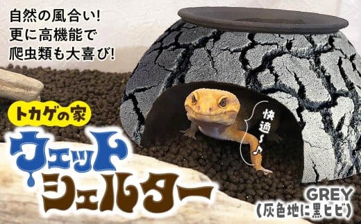 トカゲの家 ウェットシェルター 灰色 & 黒 爬虫類 | ペット トカゲ とかげ 脱皮 ペット用品 爬虫類用 シェルター レオパードゲッコー レオパ フトアゴ イモリ カエル ヘビ 陶器 家 カビ抑制 隠れ家 おしゃれ おうち デザイン 飼育 グレー grey 作家 飼育用品 ギフト 作品 手仕事 陶芸家 インテリア オブジェ 観察 自然 飼育品 ナチュラル セキグチタカヒト 埼玉県 北本市 Gray(灰色地に黒ヒビ)