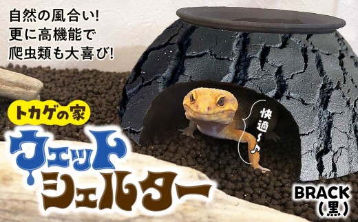 トカゲの家 ウェットシェルター 黒 爬虫類 | ペット トカゲ とかげ ペット用品 爬虫類用 シェルター 隠れ家 飼育用品 家 カビ抑制 観察 陶器 おしゃれ おうち デザイン 飼育 黒地 レオパードゲッコー レオパ フトアゴ イモリ カエル ヘビ 脱皮 作家 アーティスト ギフト 作品 手仕事 陶芸家 インテリア オブジェ 自然 ナチュラル ブラック black セキグチタカヒト 埼玉県 北本市 Black(黒)
