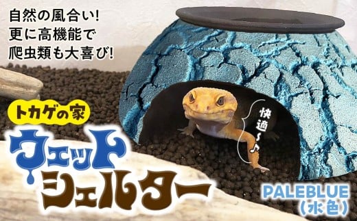 トカゲの家 ウェットシェルター 水色 爬虫類 | ペット トカゲ とかげ ペット用品 爬虫類用 シェルター 隠れ家 飼育用品 家 カビ抑制 観察 陶器 おしゃれ おうち デザイン 飼育 黒地 レオパードゲッコー レオパ フトアゴ イモリ カエル ヘビ 脱皮 作家 アーティスト ギフト 作品 手仕事 陶芸家 インテリア オブジェ 自然 ナチュラル みずいろ ブルー セキグチタカヒト 埼玉県 北本市 Paleblue(水色)