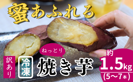 【訳あり】冷凍 焼き芋 紅はるか 5～7本 (約1.5kg) | 石焼き芋 いしやきいも ヤキイモ 焼きイモ さつまいも サツマイモ さつま芋 蜜 ねっとりしっとり 真空パック 天然ムロ貯蔵 熟成 べにはるか ベニハルカ 蜜 落葉堆肥 健康 朝食 筋トレ 腸活 ダイエット 国産 農家直送 農家自家製 埼玉県 北本市 訳あり 5～7本（約1.5kg）