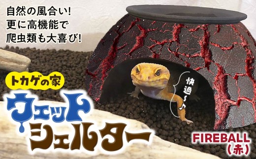 トカゲの家 ウェットシェルター 赤 爬虫類 | ペット トカゲ とかげ ペット用品 爬虫類用 シェルター 隠れ家 飼育用品 家 カビ抑制 観察 陶器 おしゃれ おうち デザイン 飼育 黒地 レオパードゲッコー レオパ フトアゴ イモリ カエル ヘビ 脱皮 作家 アーティスト ギフト 作品 陶芸家 手仕事 インテリア オブジェ 自然 ナチュラル レッド red セキグチタカヒト 埼玉県 北本市 Fireball(赤)