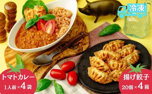 揚げ 餃子 北本トマトカレー セット 餃子80個 +カレー4人前 | ギョウザ 冷凍餃子 ギョーザ 冷凍ギョウザ 冷凍ぎょうざ ぎょうざ ぎょーざ B級 ご当地 グルメ王 入賞 トマト トマトカレー カレー ご当地カレー 冷凍カレー 手軽 食べ比べ 大家族 美味しい おやつ おつまみ 国産野菜 お手軽 大容量 中華 簡単調理 惣菜 北本フーズ 埼玉県 北本市 餃子80個+カレー4袋
