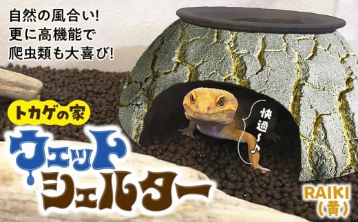 トカゲの家 ウェットシェルター 黄 爬虫類 | ペット トカゲ とかげ ペット用品 爬虫類用 シェルター 隠れ家 飼育用品 家 カビ抑制 観察 陶器 おしゃれ おうち デザイン 飼育 黒地 レオパードゲッコー レオパ フトアゴ イモリ カエル ヘビ 脱皮 作家 アーティスト ギフト 作品 手仕事 陶芸 インテリア オブジェ 自然 ナチュラル イエロー yellow セキグチタカヒト 埼玉県 北本市 Raiki(黄)
