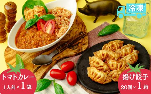 揚げ 餃子 北本トマトカレー セット 餃子20個 +カレー1人前 餃子20個+カレー1袋