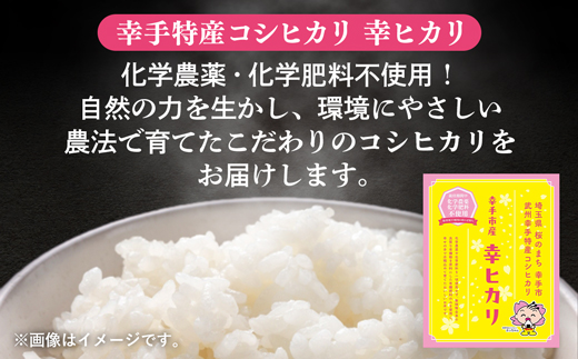 【令和7年産】無農薬・無化学肥料栽培 埼玉県幸手市産特別栽培コシヒカリ 「幸ヒカリ」精米5kg - 新米発送 コシヒカリ こしひかり 米 精米 5kg 特別栽培米 幸手市産 埼玉県 幸手市