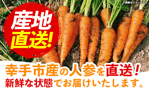 【きあり農園】幸手市産 人参 10kg - 採れたて にんじん ニンジン 産地直送 野菜 ベジタブル 美味しい おいしい 根菜 煮物 炒め物 カレー サラダ おすすめ 送料無料 埼玉県 幸手市
