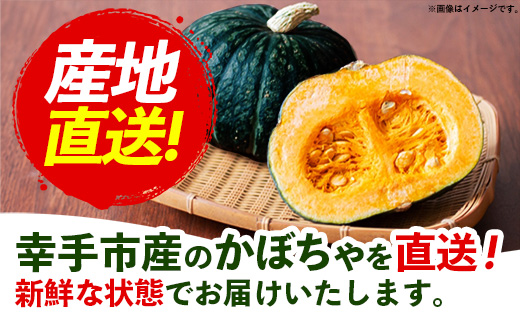 【きあり農園】幸手市産 ミニかぼちゃ 3個 - カボチャ 南瓜 栗てまり 産地直送 野菜 ベジタブル 美味しい おいしい 緑黄色野菜 使いやすい 国産 おすすめ 送料無料 埼玉県 幸手市