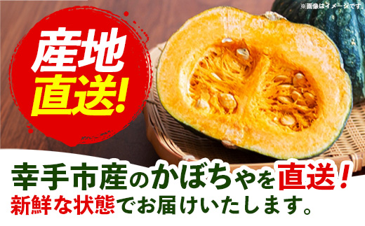 【きあり農園】幸手市産 かぼちゃ 約10kg - カボチャ 南瓜 くり大将 くり将軍 産地直送 野菜 ベジタブル 美味しい おいしい 緑黄色野菜 大容量 国産 おすすめ 送料無料 埼玉県 幸手市