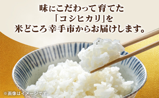 埼玉県幸手市産神扇機械化センターさんのコシヒカリ5kg - こしひかり 米 精米 食味 こだわり おすすめ 幸手市産 埼玉県 幸手市