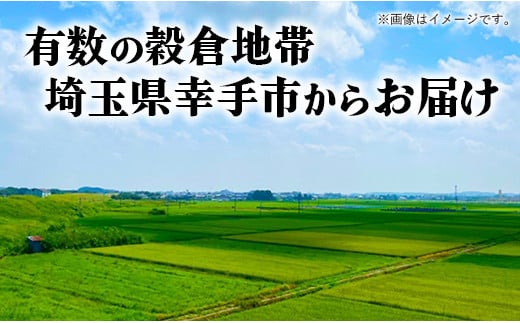 令和7年幸手産 こしひかり【無洗米】4.5㎏×1袋 - コシヒカリ 無洗米 4.5kg 令和7年産 便利 時短 埼玉県 幸手市 幸手市産