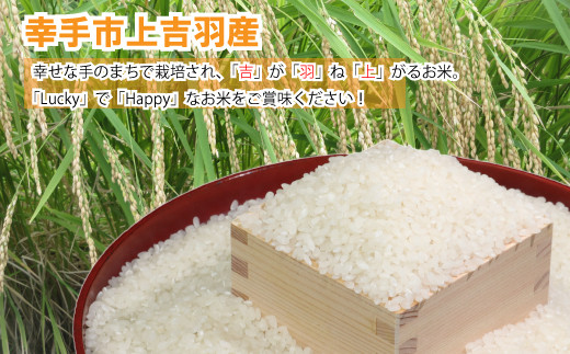 【令和7年産米】食味Aランク継続中の銘柄 彩のきずな 精米10kg - お米 白米 ごはん 銘柄 減農薬 おすすめ 送料無料 埼玉県 幸手市
