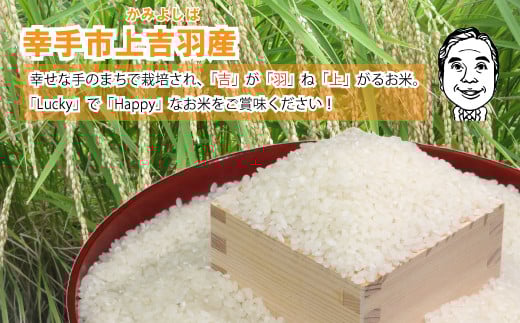 【令和7年産米】ハッピー(幸手市)でラッキー(上吉羽)なお米 コシヒカリ精米10kg - 白米 こしひかり 減農薬 ごはん おすすめ 送料無料 埼玉県 幸手市