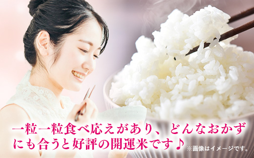 【無洗米】令和7年産 開運米 コシヒカリ（減農薬）幸手産 - 5kg×2袋 10kg こしひかり 福祉 応援 安心 安全 埼玉県 幸手市 幸手市産 コシヒカリ【無洗米】10kg（5kg×2袋）