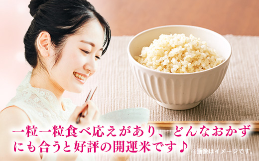 令和7年産 開運米 コシヒカリ 【玄米】（減農薬）幸手産 - 5kg×2袋 10kg こしひかり 福祉 応援 安心 安全 埼玉県 幸手市 幸手市産 コシヒカリ【玄米】10kg（5kg×2袋）