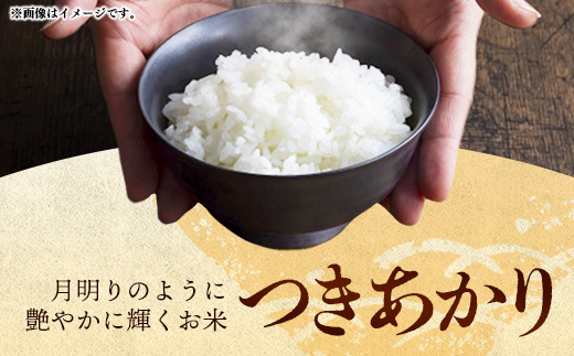 令和7年産 開運米 つきあかり（無洗米）幸手産 - 5kg×2袋 10kg 福祉 応援 安心 安全 埼玉県 幸手市 幸手市産 開運米 つきあかり【無洗米】10kg（5kg×2袋）