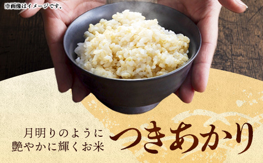 令和7年産 開運米 つきあかり（玄米）幸手産 - 5kg×2袋 10kg 福祉 応援 安心 安全 埼玉県 幸手市 幸手市産 開運米 つきあかり【玄米】10kg（5kg×2袋）