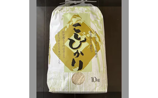 【令和7年産】有機肥料100％ 埼玉県幸手市産特別栽培コシヒカリ 精米10kg -2025年10月1週目より順次発送 新米発送 コシヒカリ こしひかり 米 精米 10kg 有機肥料 特別栽培米 幸手市産 埼玉県 幸手市
