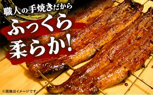 こだわりの柔らかうなぎ蒲焼【特上・並】各２枚 - やわらか ふわとろ 湯煎 簡単 老舗の味 うなぎ １尾 肉厚 各2枚 蒲焼き 特上 秘伝 タレ おすすめ 白米 相性 抜群 とろける 柔らかさ オススメ 埼玉県 幸手市 プチ贅沢 クリスマス お正月 パーティー