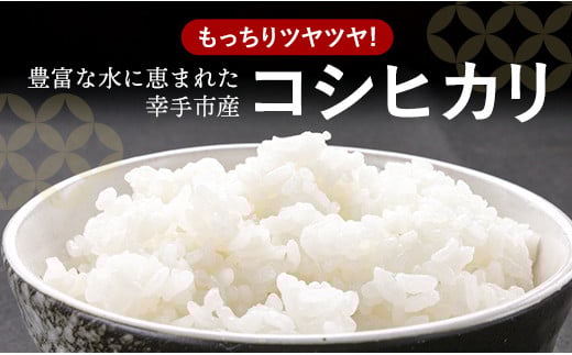 令和7年産 幸手市産 コシヒカリ 玄米10kg 色彩選別済 Brown Rice - お米 米 こしひかり 玄米 10kg 埼玉県 幸手市