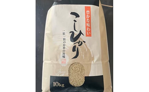 【令和7年産】有機肥料100％ 埼玉県幸手市産特別栽培コシヒカリ 玄米10kg - 2025年10月1週目より順次発送 新米発送 コシヒカリ こしひかり 米 玄米 10kg 有機肥料 特別栽培幸手市産 埼玉県 幸手市