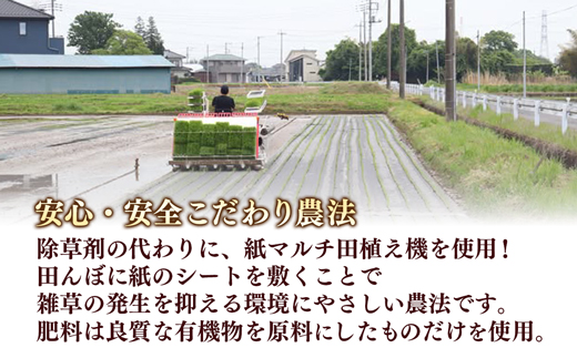 【令和7年産】無農薬・無化学肥料栽培 埼玉県幸手市産特別栽培コシヒカリ 「幸ヒカリ」玄米5kg - 新米発送 コシヒカリ こしひかり 米 玄米 5kg 特別栽培米 幸手市産 埼玉県 幸手市