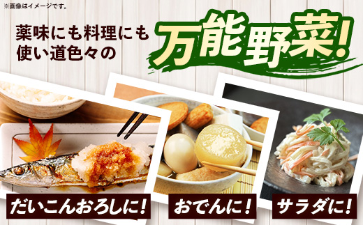 【きあり農園】幸手市産 大根 10kg - 朝採れ ダイコン だいこん 産地直送 野菜 ベジタブル 美味しい おいしい 冬野菜 煮物 鍋 おでん おすすめ 送料無料 埼玉県 幸手市