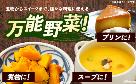 【きあり農園】幸手市産 かぼちゃ 約10kg - カボチャ 南瓜 くり大将 くり将軍 産地直送 野菜 ベジタブル 美味しい おいしい 緑黄色野菜 大容量 国産 おすすめ 送料無料 埼玉県 幸手市